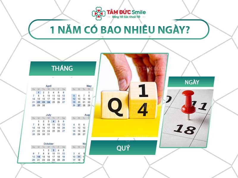 1 NĂM CÓ BAO NHIÊU NGÀY? BAO NHIÊU TUẦN? BAO NHIÊU QUÝ?