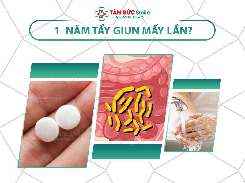 1 NĂM TẨY GIUN MẤY LẦN? LƯU Ý KHI TẨY GIUN CHO TRẺ EM VÀ NGƯỜI LỚN