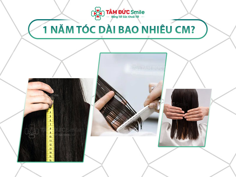 1 NĂM TÓC DÀI RA BAO NHIÊU? CÁC LOẠI THỰC PHẨM TỐT DƯỠNG TÓC DÀI KHOẺ