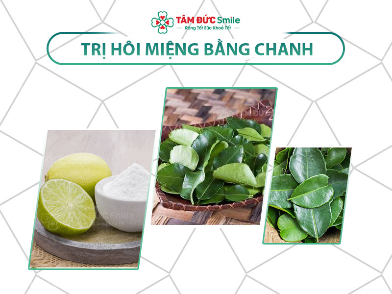 CÁCH TRỊ HÔI MIỆNG BẰNG LÁ CHANH DỄ THỰC HIỆN TẠI NHÀ