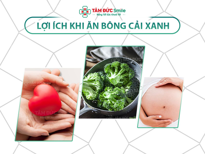 DINH DƯỠNG TRONG BÔNG CẢI XANH: 11 TÁC DỤNG ĐỐI VỚI SỨC KHOẺ VÀ CÁCH CHẾ BIẾN