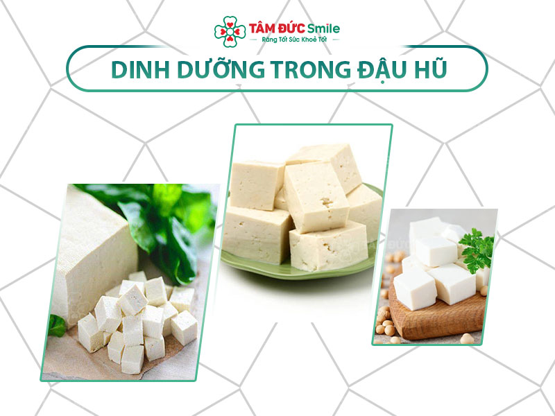 DINH DƯỠNG TRONG ĐẬU HŨ: HÀM LƯỢNG DINH DƯỠNG VÀ TÁC DỤNG ĐỐI VỚI CƠ THỂ