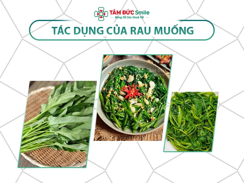 DINH DƯỠNG TRONG RAU MUỐNG: TÁC DỤNG ĐỐI VỚI CƠ THỂ VÀ LƯU Ý KHI SỬ DỤNG