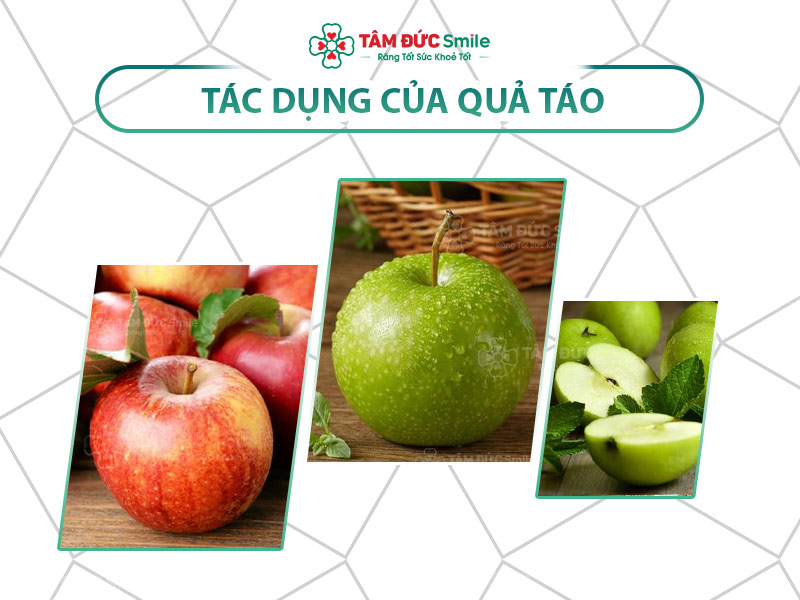 DINH DƯỠNG TRONG TÁO: PHÒNG NGỪA BỆNH TẬT VÀ PHỤC HỒI TỔN THƯƠNG