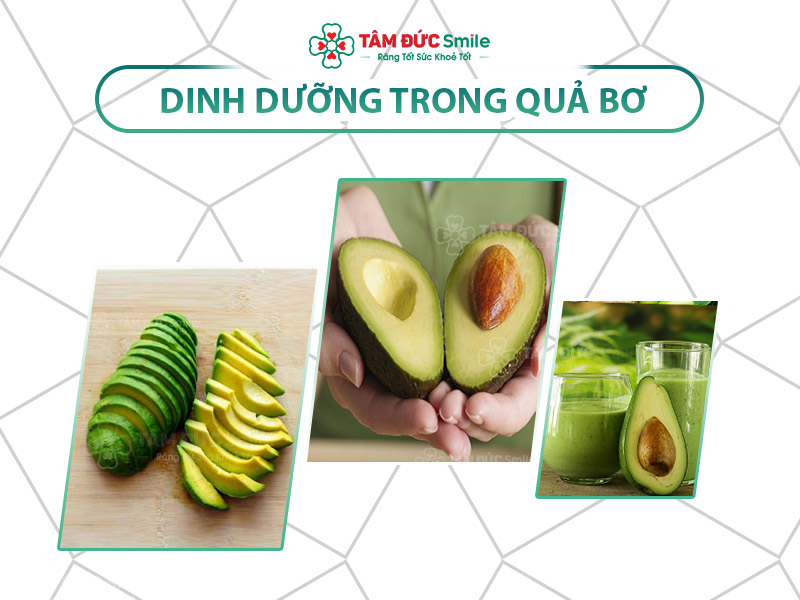 DINH DƯỠNG TRONG TRÁI BƠ: ĂN BƠ MỖI NGÀY NHẬN ĐƯỢC LỢI ÍCH BẤT NGỜ