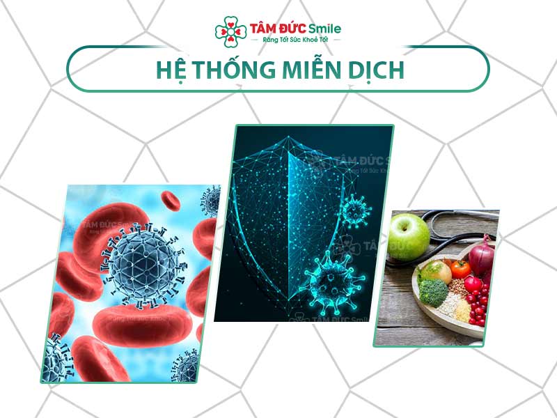 HỆ THỐNG MIỄN DỊCH LÀ GÌ? BIỆN PHÁP NÂNG CAO HỆ THỐNG MIỄN DỊCH