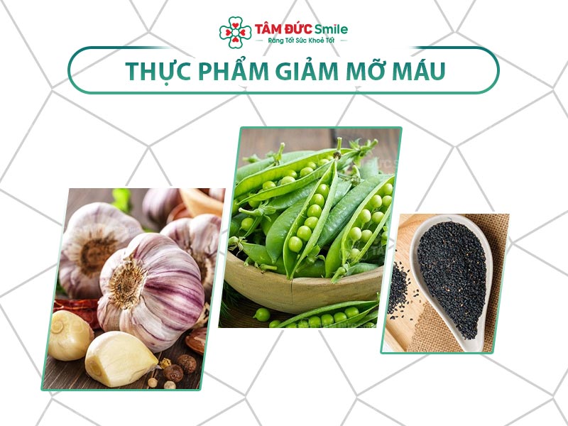 [TỔNG HỢP] THỰC PHẨM GIẢM MỠ MÁU BẠN NÊN ĂN NGAY BÂY GIỜ