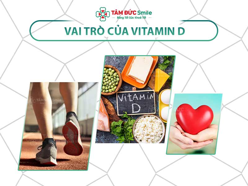 3+ VAI TRÒ CỦA VITAMIN D ĐỐI VỚI CƠ THỂ VÀ CÁCH BỔ SUNG NHANH CHÓNG